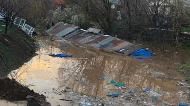 Bingöl'de yağış nedeniyle 2 büyükbaş ve 3 küçükbaş hayvan telef oldu