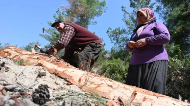 Geçimlerini orman işçiliği ile sağlayan çift