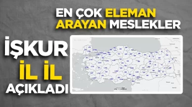 En fazla aranan meslek: Garsonluk, dikiş makineciliği ve kaynakçılık