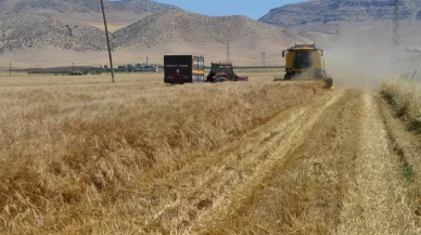 Mardin’de 137 bin tonluk buğday vurgununda 9 tutuklama
