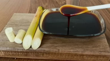 Düzce Şeker Kamışı Pekmezi Yapımı