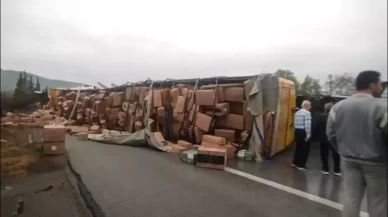 TEM Otoyolu'nda TIR'ın devrildiği kaza kamerada