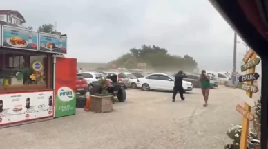 Turistler panikle koşuşturmaca yaşadı