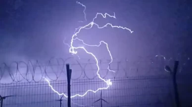 Tokat’ta fırtına nedeniyle ağaçlar devrildi