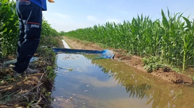 Tarım işçisi sulama kanalında ölü bulundu