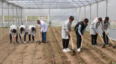 Lise öğrencilerinin sera projesi