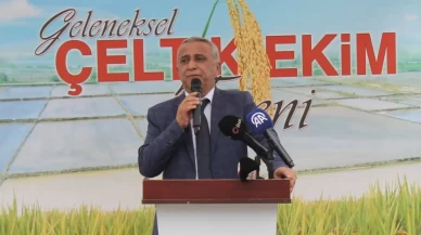 Bafra Ovası'nda çeltik ekimi başladı