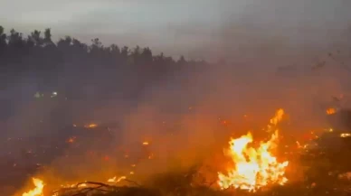 Köylüler ve ekiplerin seferber olduğu yangın kontrol altına alındı