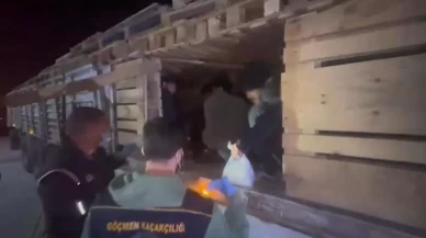 Tırın dorsesindeki gizli bölmeden 42 düzensiz göçmen çıktı