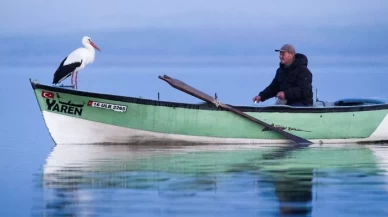 Yaren leylek ve eşi Nazlı, ilk yavrularını dünyaya getirdi