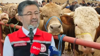 "Kurbanlık hayvan varlığımız yeterli düzeyde"