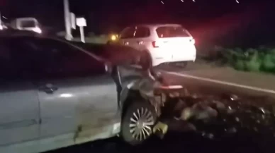 Iğdır'da yolun karşısına geçmeye çalışan hayvanlar telef oldu