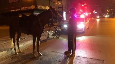 Mersin'de atlı market yolculuğu pahalıya patladı