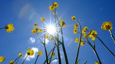 Yeni haftada hava nasıl olacak? İşte tahminler...