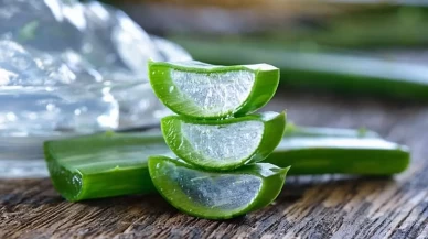 Aloe Vera Jeli Nasıl Kullanılır?