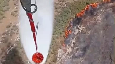 Foça'da makilik alanda orman yangını çıktı!