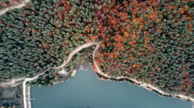 Bilecik'te ormanlık alanlara girişler 5 ay süreyle yasaklandı