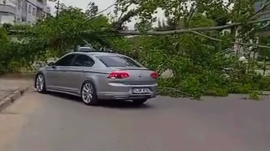 Bartın'da şiddetli rüzgar paniğe neden oldu! Ağaçlar devrildi, yollar kapandı