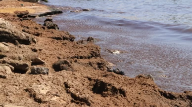 Kuvvetli rüzgar nedeniyle sahile kırmızı yosun birikti