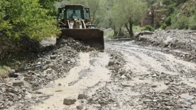Van'da sağanak sele neden oldu