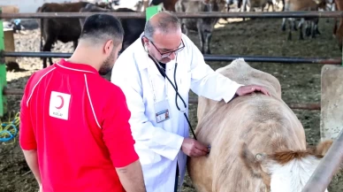 Vekaletle kurban kesimi hem kolay hem de gönül rahatlığı sunuyor