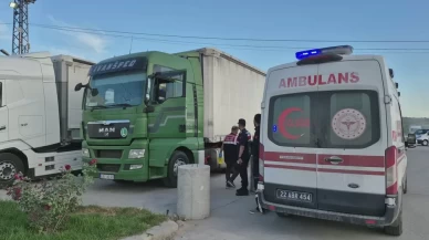 Edirne'de tır sürücüsü aracında ölü bulundu