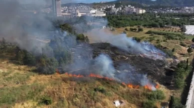 Ağaçlık ve otluk alanda yangın çıktı!