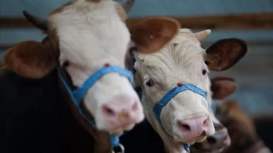 Sivas’ta bazı köyler karantinaya alındı