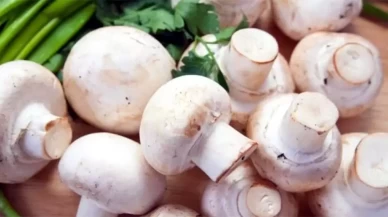 Mantarın Kararmasını Önlemenin Püf Noktaları!