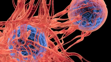 Kadın sağlığında sessiz tehlike: Sıcaklık artışı kanseri tetikliyor