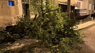 Karabük'te kuvvetli rüzgar etkili oldu