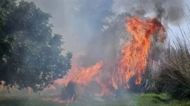 Evler tahliye edildi!