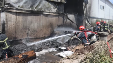 Kontrplak fabrikasında korkutan yangın