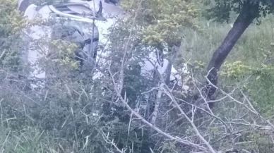 Siirt'te direksiyon hakimiyetini kaybedince kaza yaptı