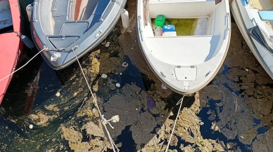 Karamürsel'de denizde köpüksü tabaka oluştu