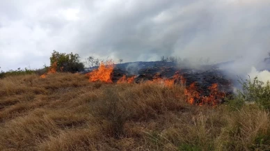 Samandağ bölgesinde ekipler devreye girdi
