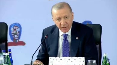 "Ukrayna'da silahların susması için kritik bir virajdayız"