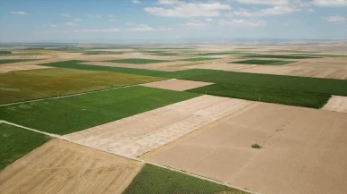 2B arazilerinde tapu süreci nasıl olacak? Detaylar belli oldu