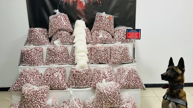 Kocaeli'de uyuşturucu operasyonunda 1 şüpheli tutuklandı