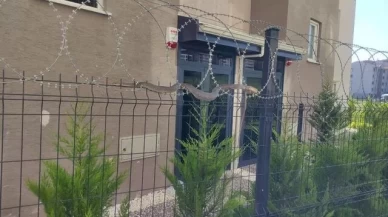 Bursa'da şehrin ortasında 1.5 metrelik yılan korkuttu!