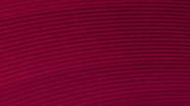 Bordo! Lüksün ve otoritenin asil temsilcisi