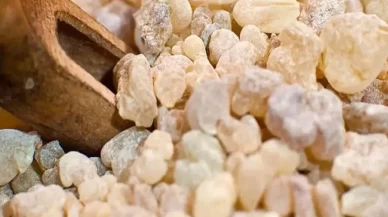 Sandaloz sakızı nedir? Faydaları nelerdir?