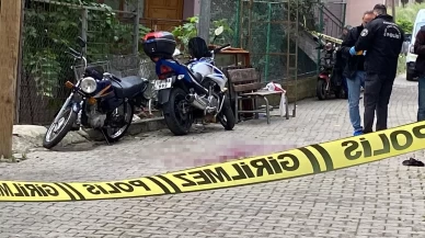 Ağabey kardeşini tüfekle vurdu