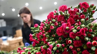 Türkiye'de Anneler Günü mesaisi!