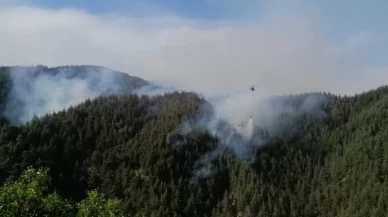 Kahramanmaraş'ta çıkan orman yangınına müdahale ediliyor