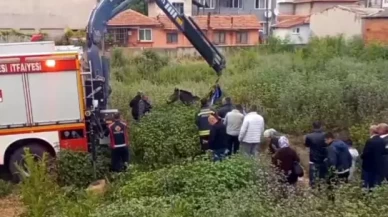 Edirne'de çukura düşen at, vinçle kurtarıldı