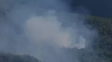 Hatay Arsuz’da orman yangını çıktı