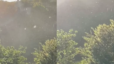 Mayıs ayında kar sürprizi