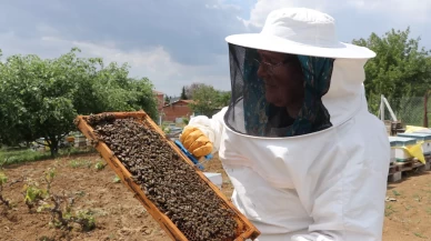 Kayınpederi sayesinde 47 yıldır arıcılık yapıyor