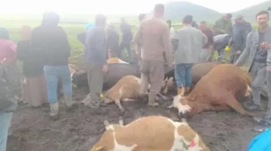 Kars’ta sürünün üzerine yıldırım düştü: 2 çoban yaralandı, 10 hayvan telef oldu